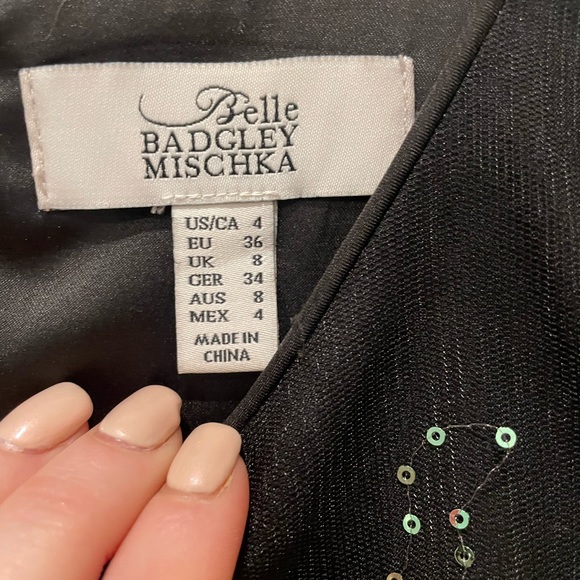 Beautiful Badgely Mishka appliqué dress size 4 - Picture 3 of 3